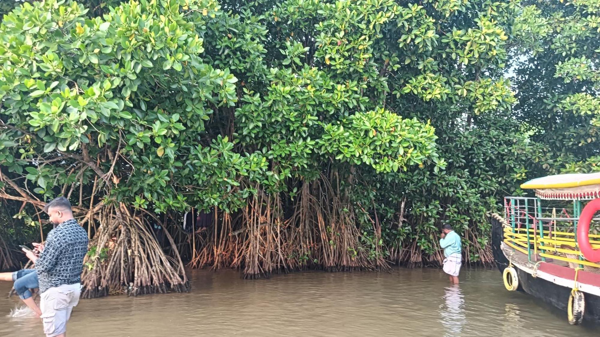 Dilkush Munroe Homestay Kollam Kültér fotó